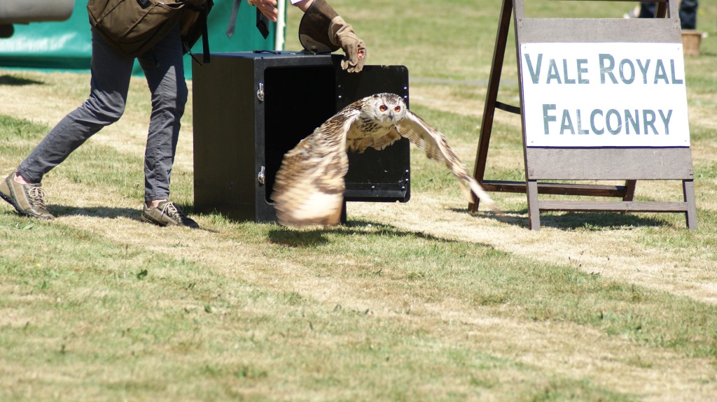 Hankelow Fete 2017