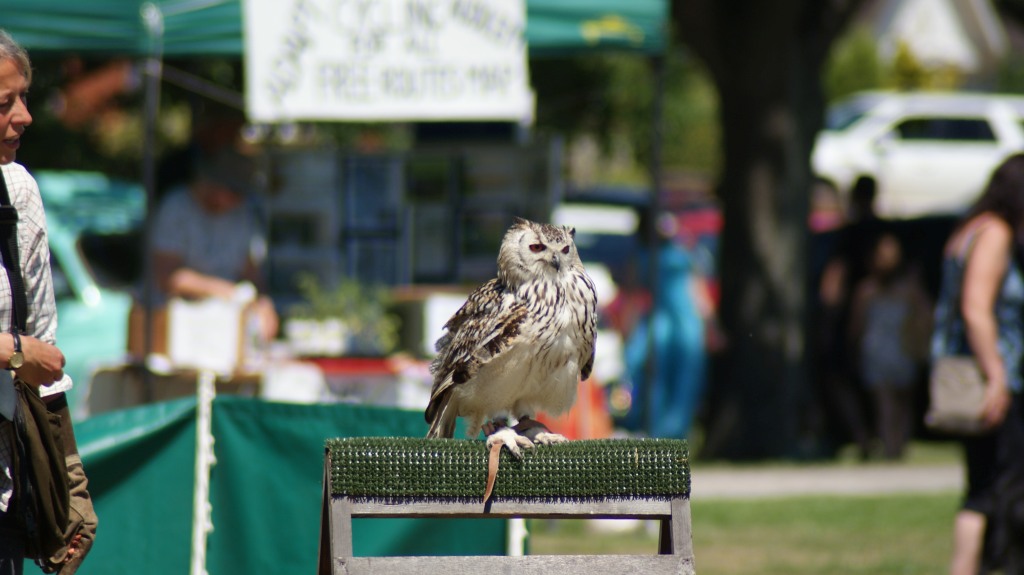 Hankelow Fete 2017