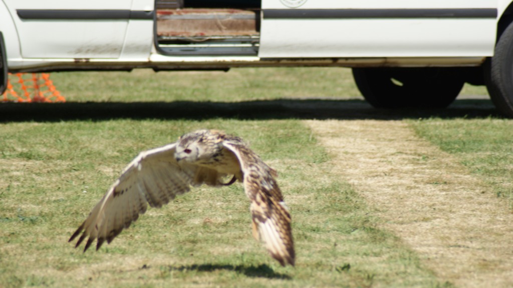 Hankelow Fete 2017