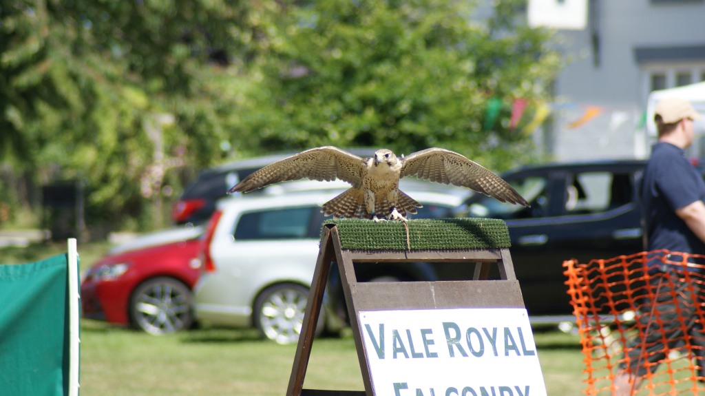 Hankelow Fete 2017