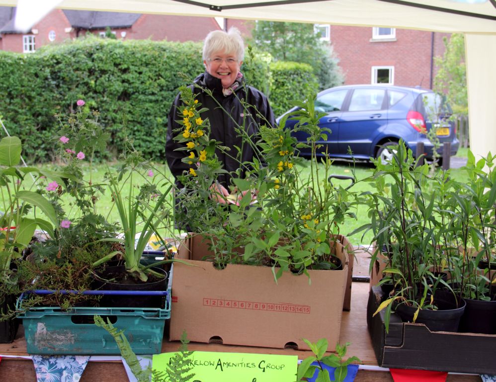 Photographs taken at the Hankelow Summer Fete 2013