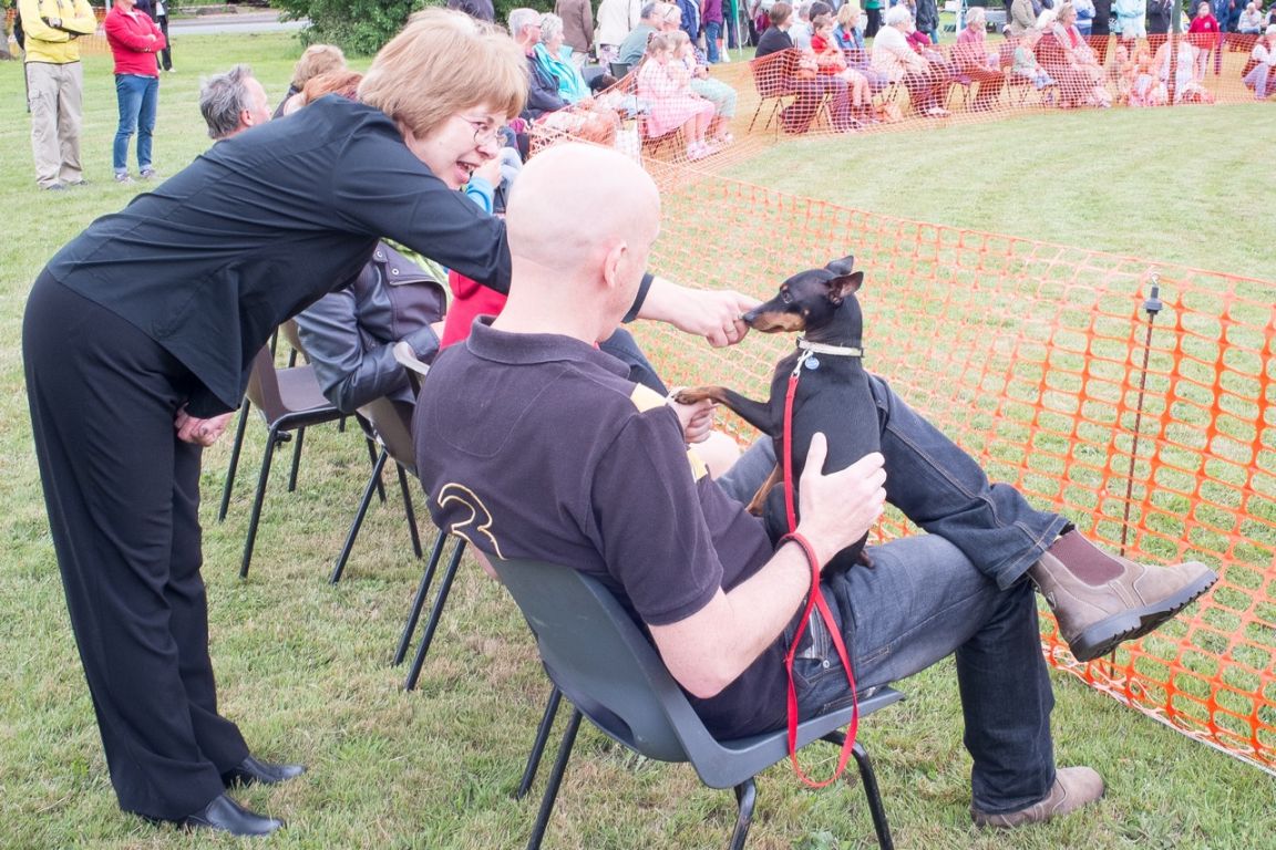 Photograph 134 taken at the Hankelow Summer Fete 2015