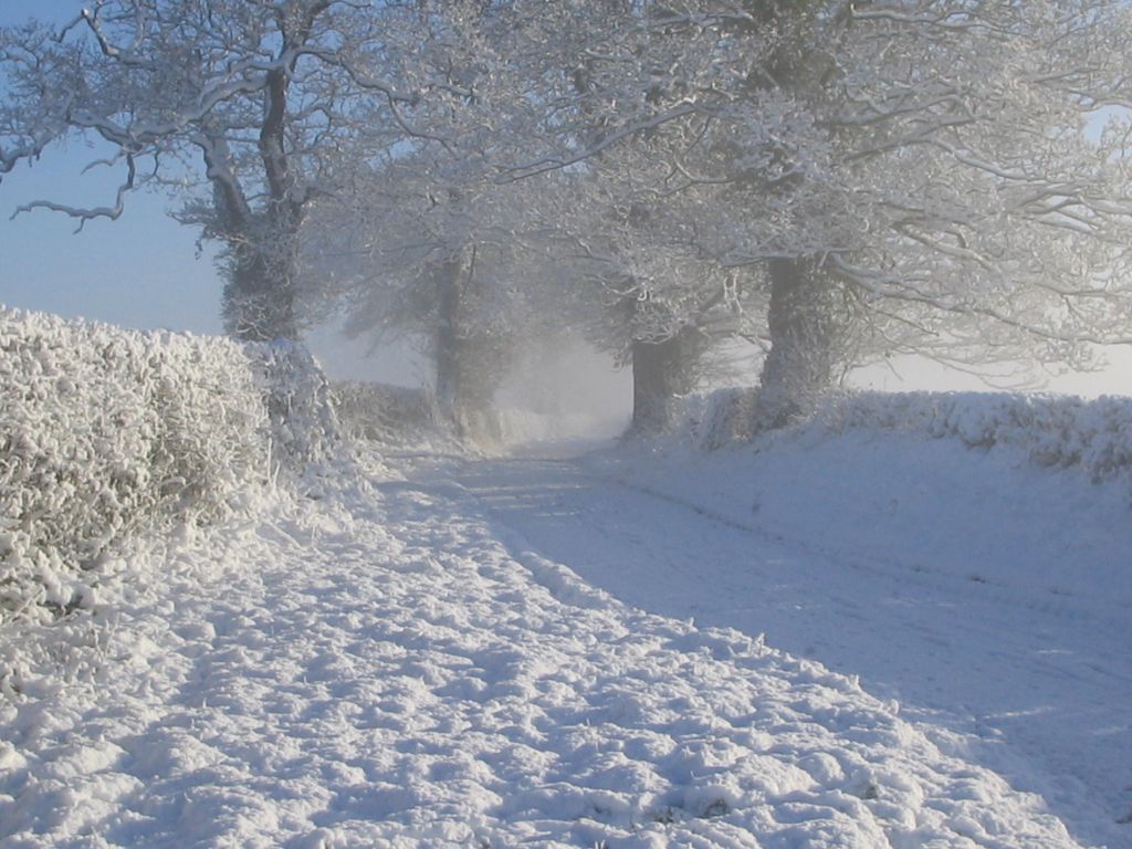 Monks Lane, Boxing Day 2004