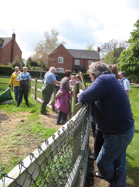 The admiring crowds