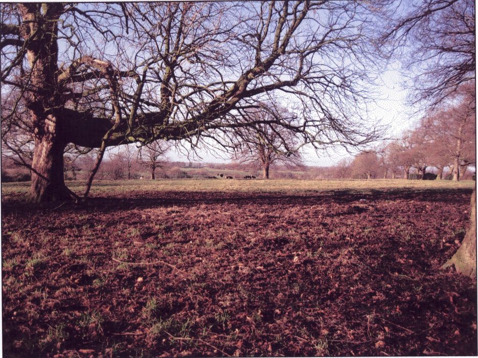 View to the West from the end of Hall Lane, Hankelow