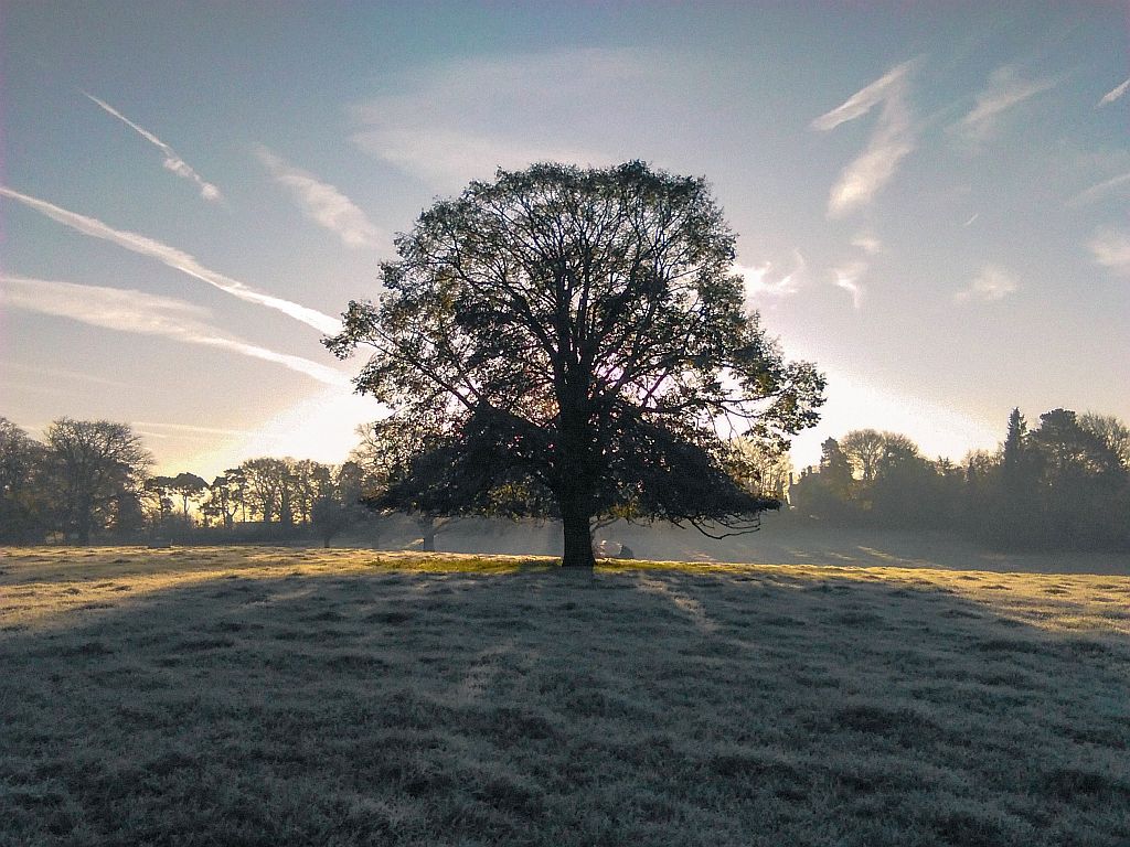 Sunrise over Hankelow Court