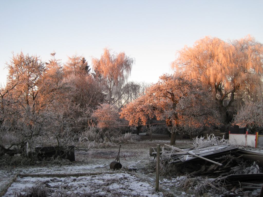 Garden scene with roller